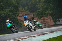 Advanced Group White Bikes